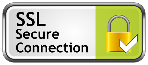 Aplicatii online securizate Aplicatii online securizate